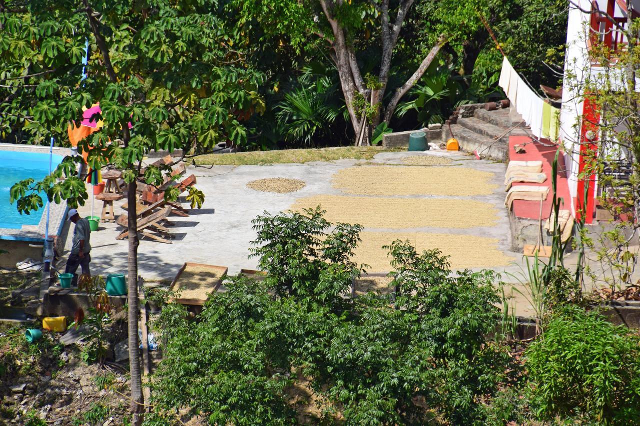 Finca San Rafael - Cafe y Cacao Minca Exterior foto